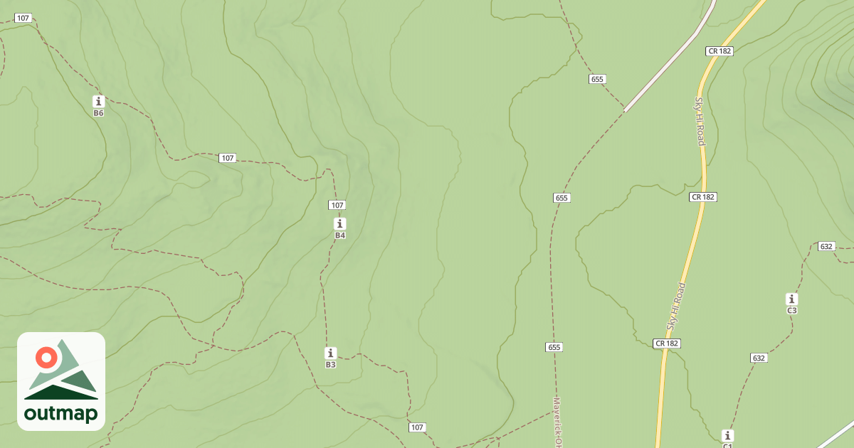 Map of USFS National Forest System Roads {23309C8D-397D-4FF8-B38F-C40F159F5327}