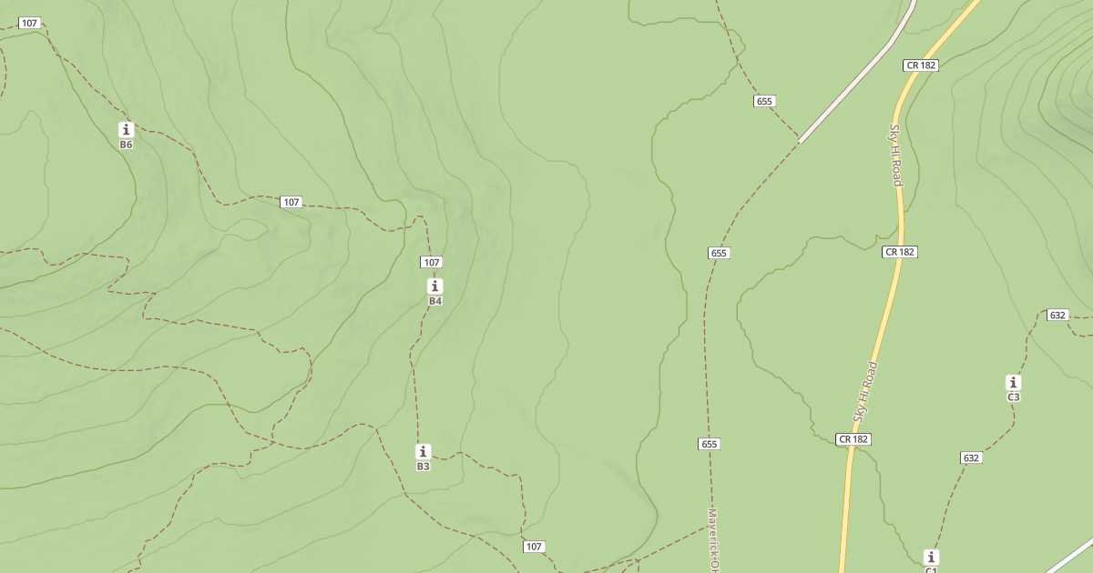 Map preview of USFS National Forest System Roads {23309C8D-397D-4FF8-B38F-C40F159F5327}