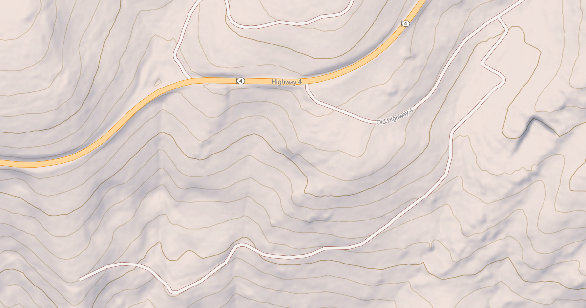 Map preview of USFS National Forest System Roads {CCD71186-5CB9-411F-AD1D-A52B82818C83}