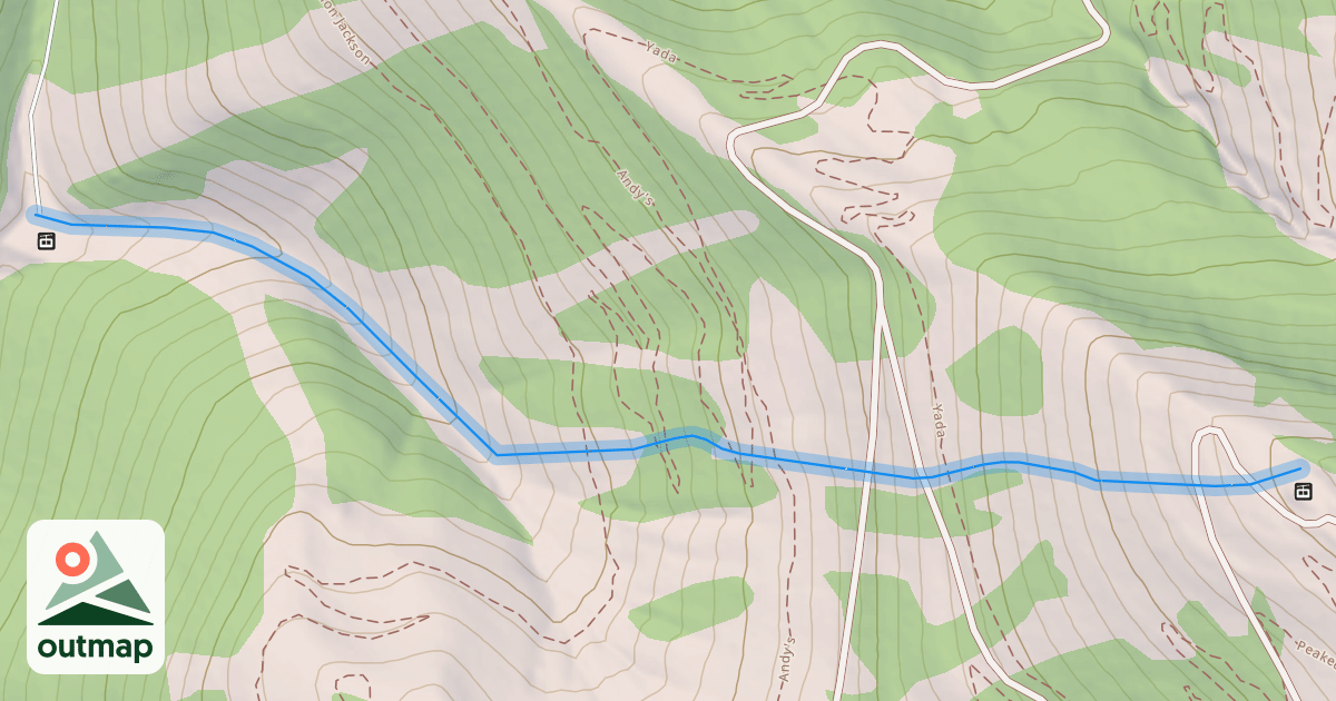 Map of Bird Woman