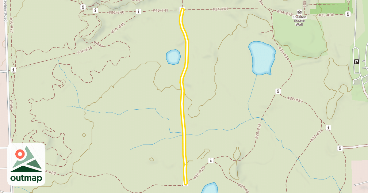 Map of #28-#41