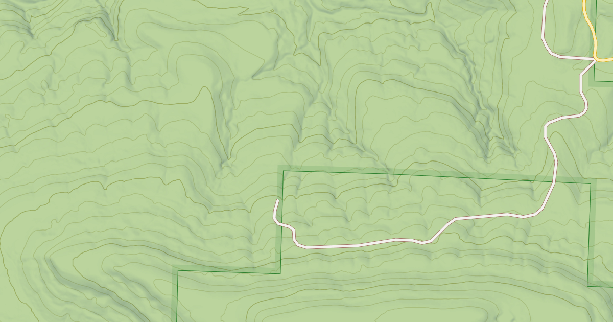 Map preview of USFS National Forest System Roads {1D3F0116-81B7-4477-8C3F-7655AB5D5649}