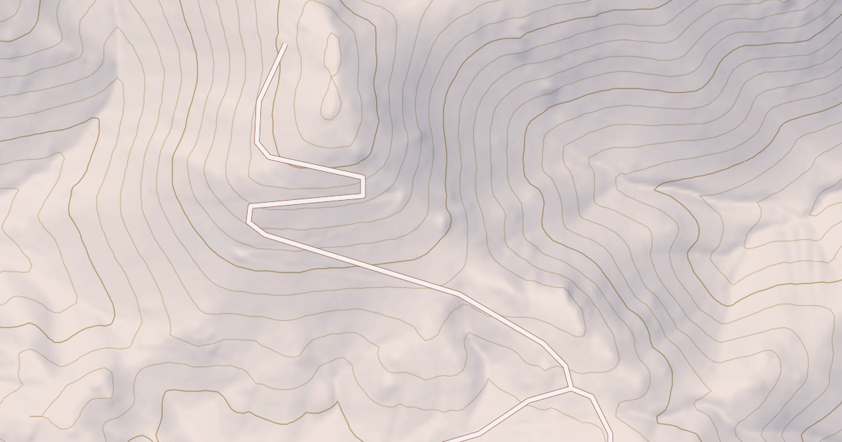 Map preview of USFS Motor Vehicle Use Map Roads {E4605145-1EDA-4562-903D-771B481D182E}
