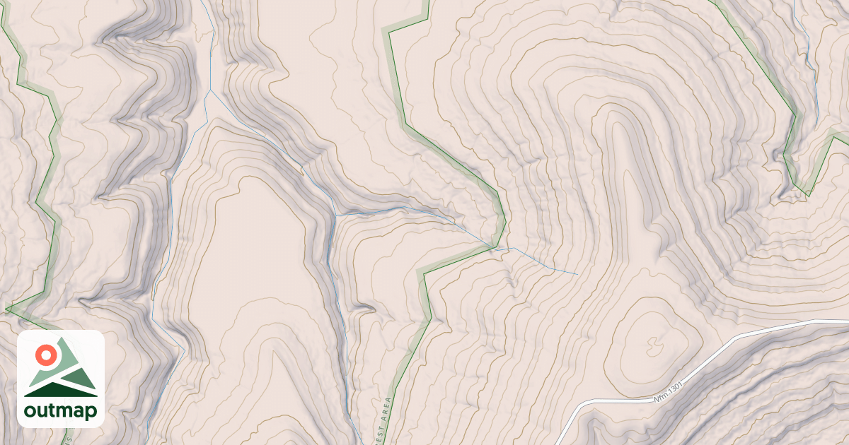 Map of USFS Motor Vehicle Use Map Roads {A6260106-E067-4252-86A1-DD74E47E4888}