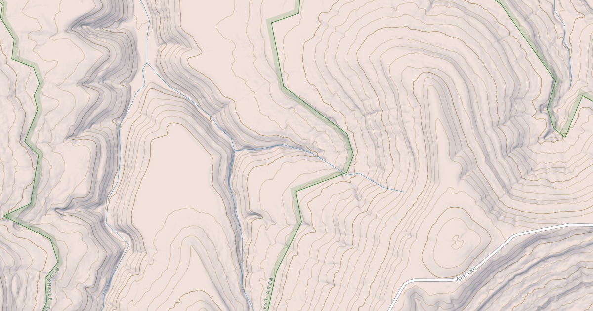 Map preview of USFS Motor Vehicle Use Map Roads {A6260106-E067-4252-86A1-DD74E47E4888}