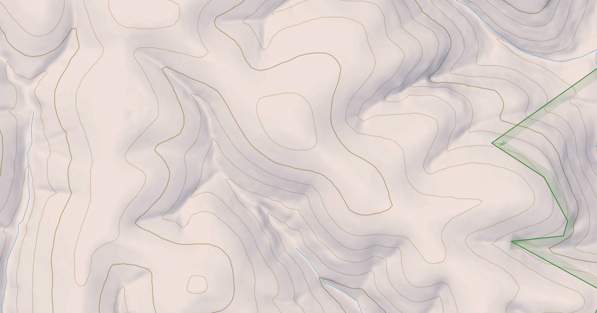 Map preview of USFS Motor Vehicle Use Map Roads {E55C89B3-68F1-47FA-BE81-B287708FDB39}