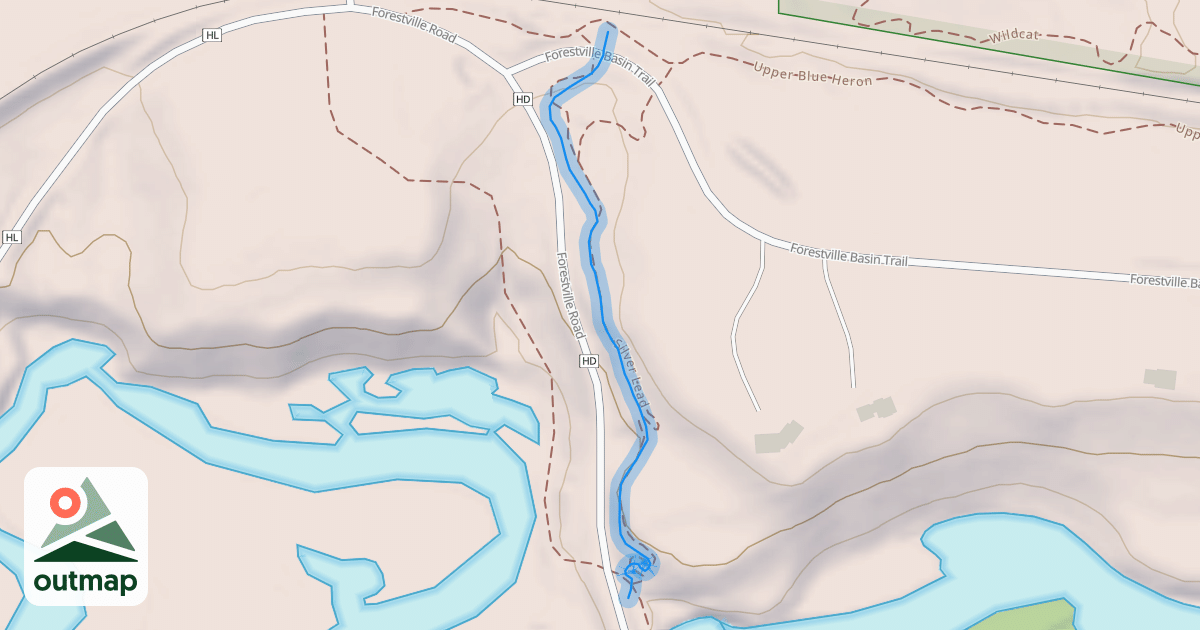 Map of Silver Lead