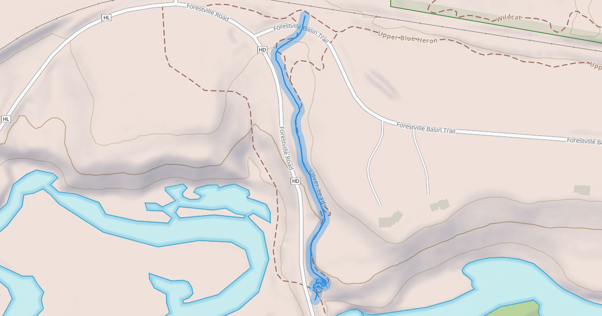 Map preview of Silver Lead