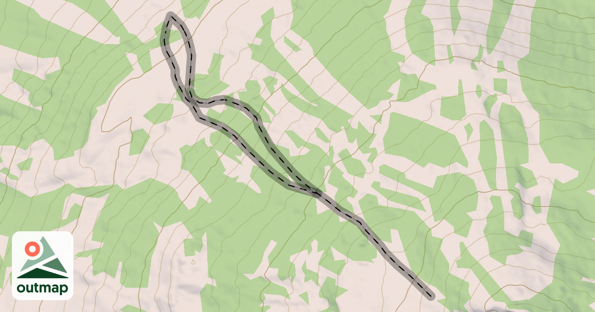 Map of W1