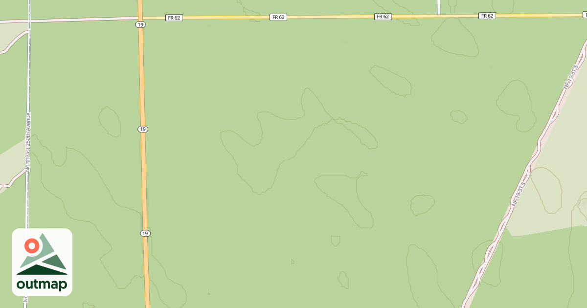Map of USFS National Forest System Roads {295486A4-07C8-4BA2-BE0D-6A7AEE3D3E57}