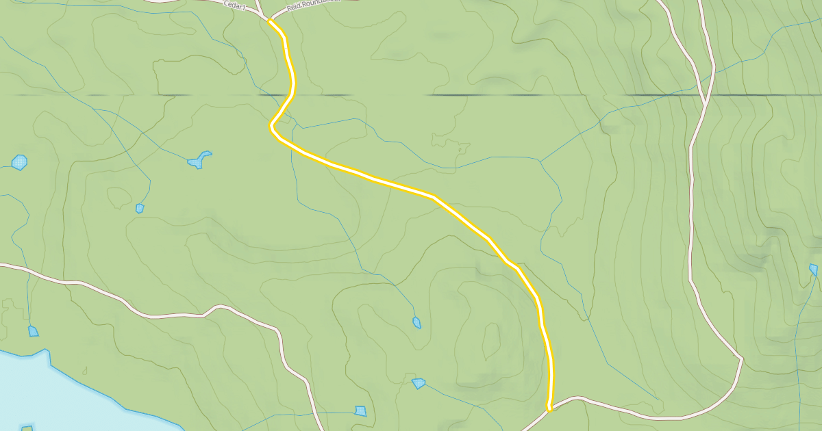 Map preview of Cedar