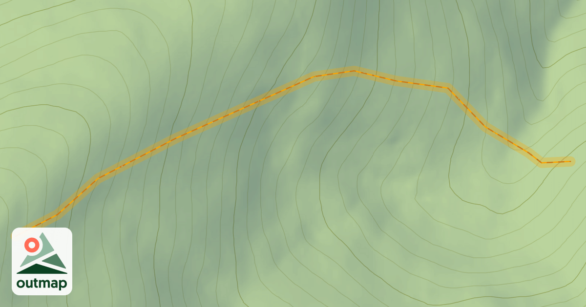Map of Alice DLHAM