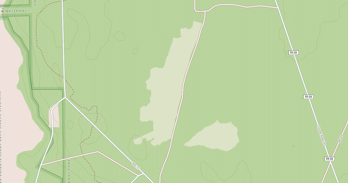 Map preview of USFS Motor Vehicle Use Map Roads {292CD7A4-A3F6-4F46-AAD5-8B986C9C1ACC}