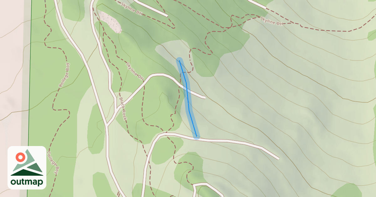 Map of Flat Pine