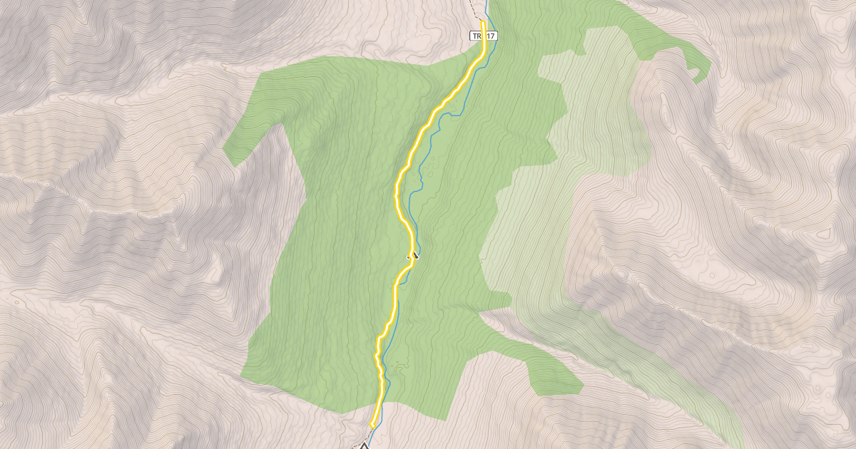 Map preview of Resurrection Pass Trail