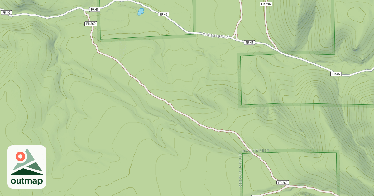 Map of USFS National Forest System Roads {07824591-39B7-48C4-ABB5-6C9EB010AFA1}