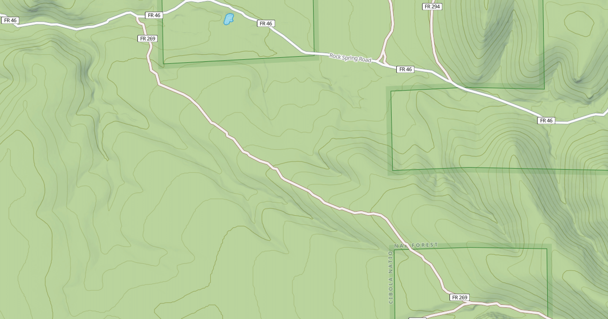 Map preview of USFS National Forest System Roads {07824591-39B7-48C4-ABB5-6C9EB010AFA1}