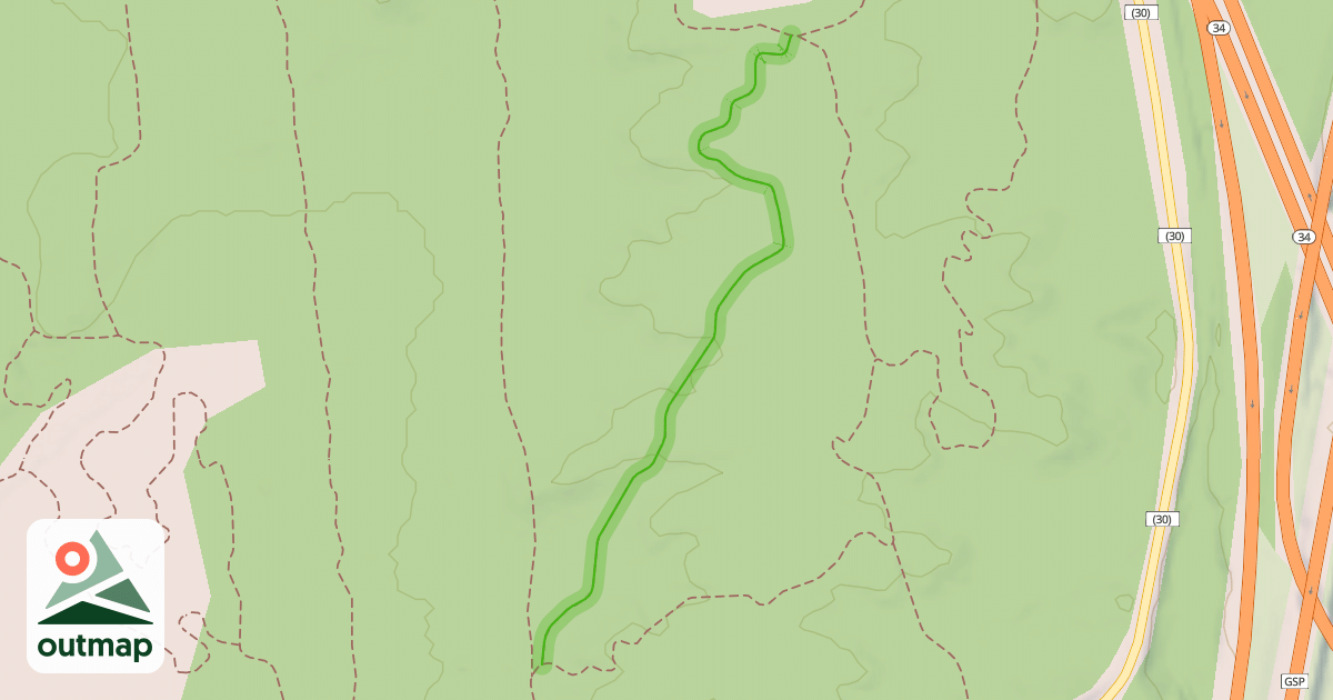 Map of Slanted Tree in Monmouth