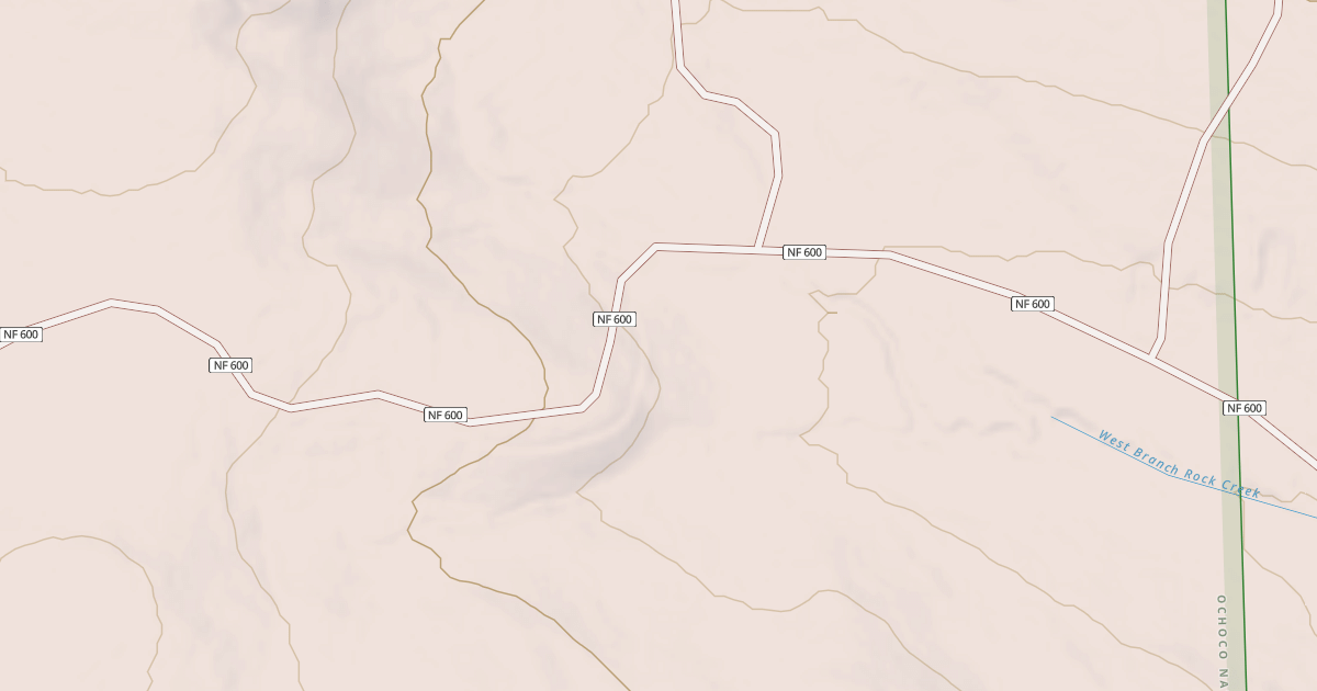 Map preview of USFS National Forest System Roads {4DC90D79-BC12-4FF2-BFAD-749A5A3B9D24}
