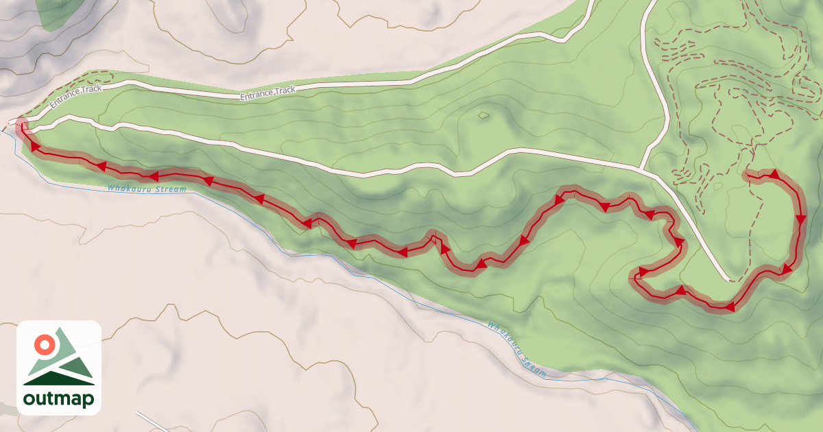 Map of Speedy Cheetah