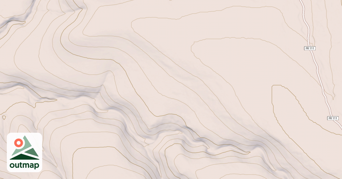 Map of USFS National Forest System Roads {DFDBF584-FA46-4534-8F09-C2DA5E5CD35E}
