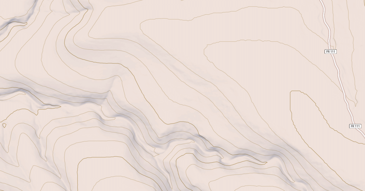 Map preview of USFS National Forest System Roads {DFDBF584-FA46-4534-8F09-C2DA5E5CD35E}
