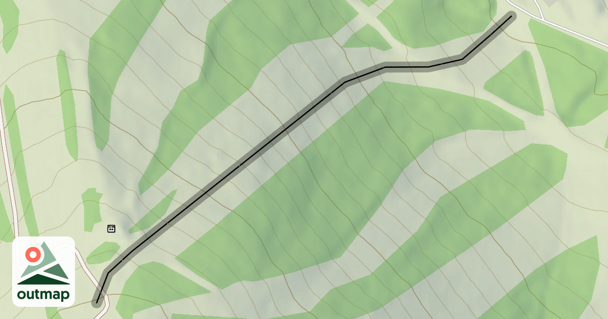 Map of Zoomer