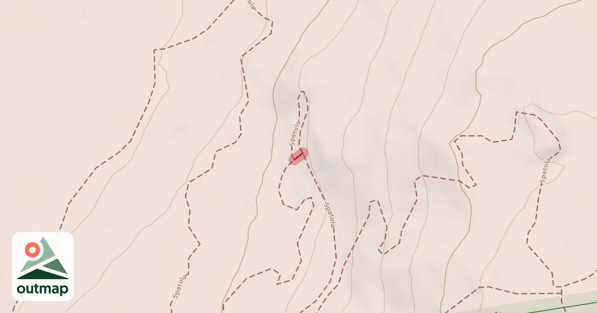 Map of Spatula