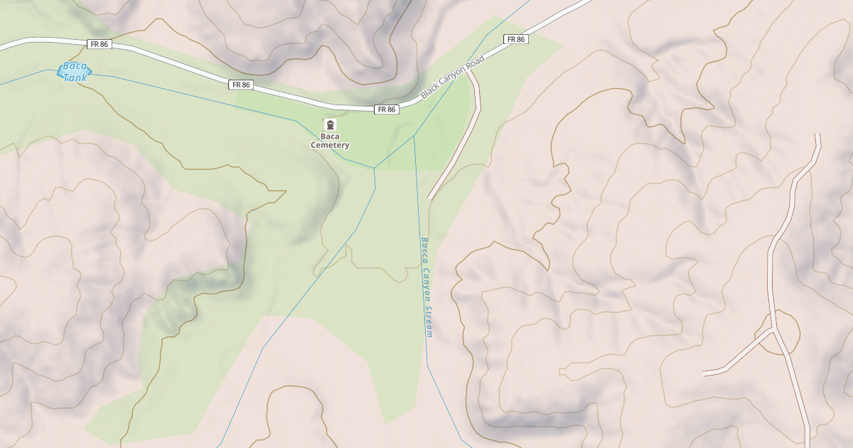 Map preview of USFS National Forest System Roads {8E81E79E-1234-47EA-BAEF-9E4689BC5C51}