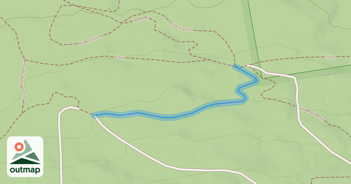 Map of T.O.A.D.