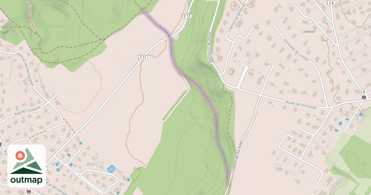 Map of Chemin de la Vionnaz