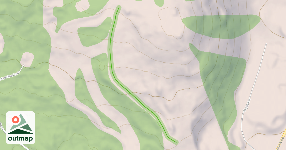 Map of Knotty Pine