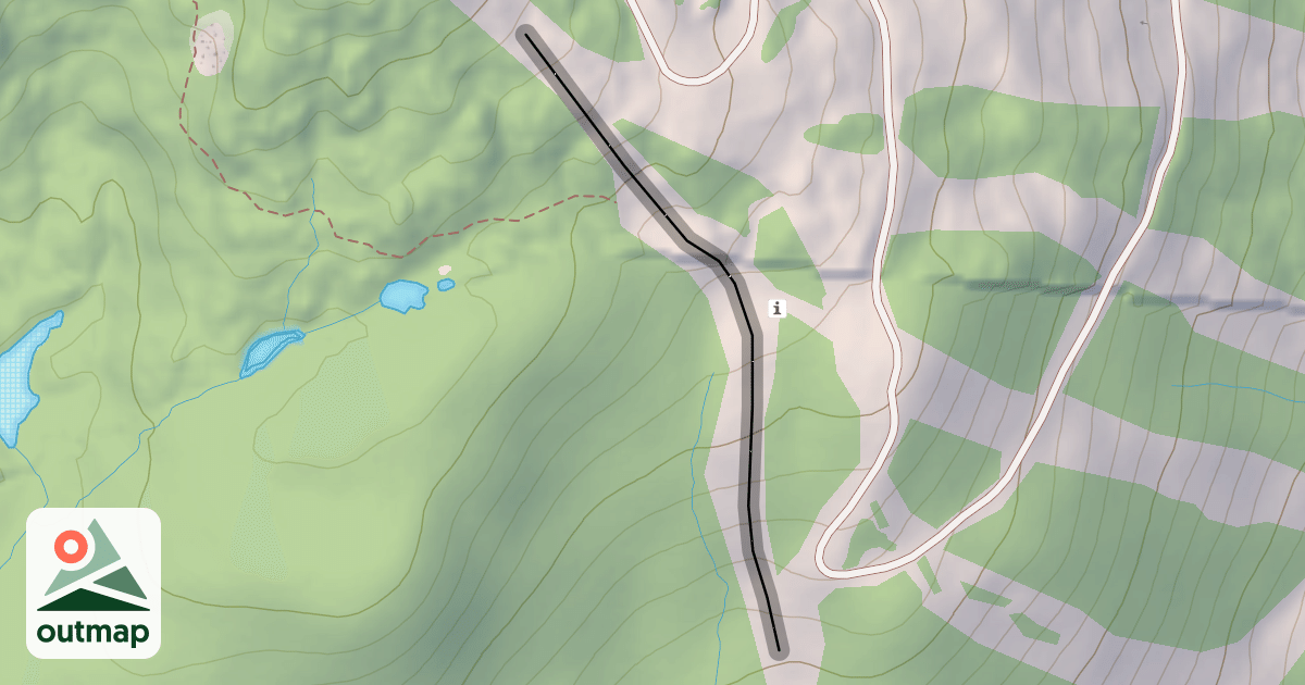Map of Shoreline