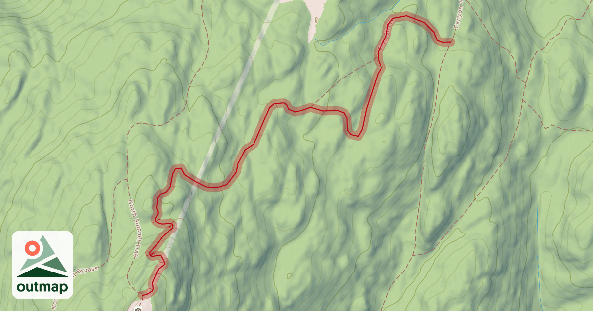 Map of Easy Street
