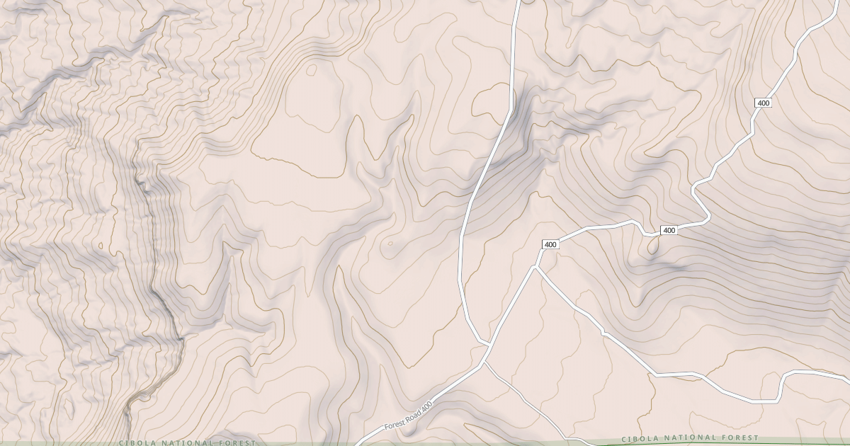 Map preview of USFS National Forest System Roads {397DFCEB-14B4-49BE-958F-C6433523ED18}