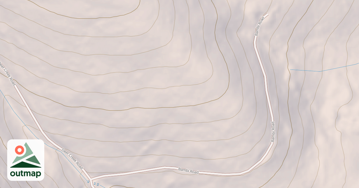 Map of BAMBI