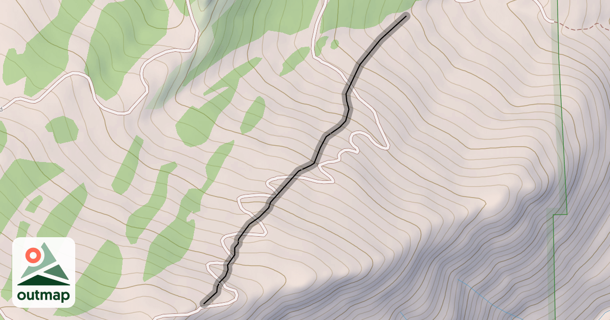 Map of Timber Doodle Glade