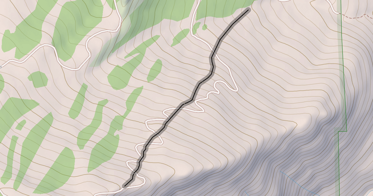 Map preview of Timber Doodle Glade