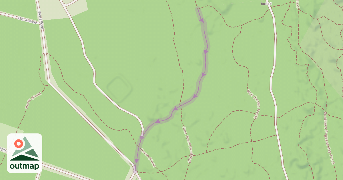 Map of Brown (MTB track)