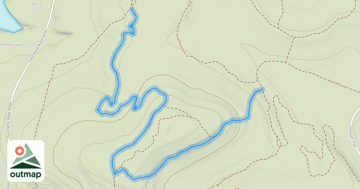 Map of Tapeworm