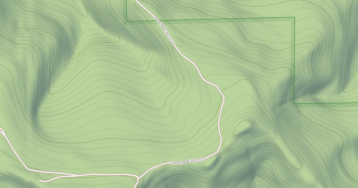 Map preview of USFS National Forest System Roads {B80FC80E-363E-4D25-9503-82C03181780F}