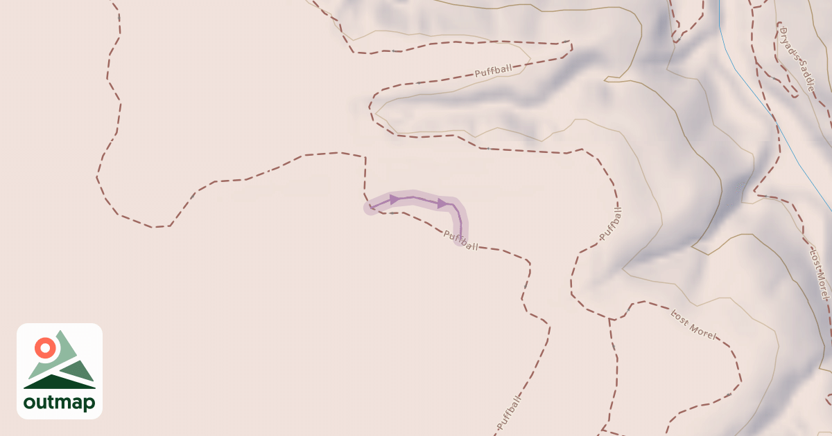 Map of Puffball