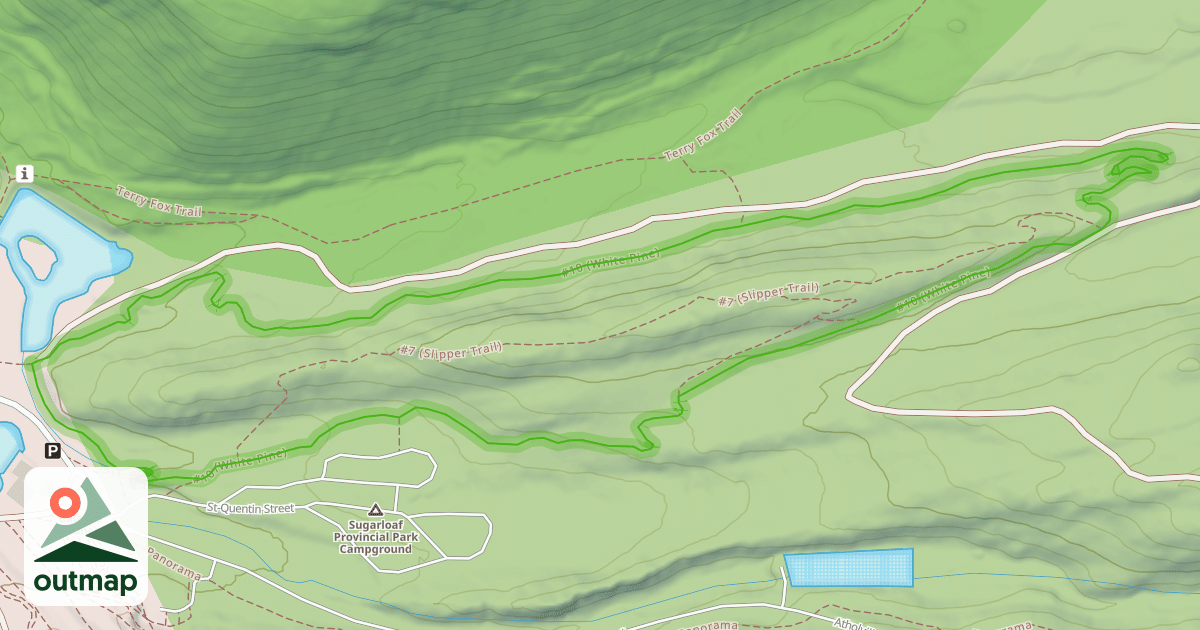 Map of #10 (White Pine)