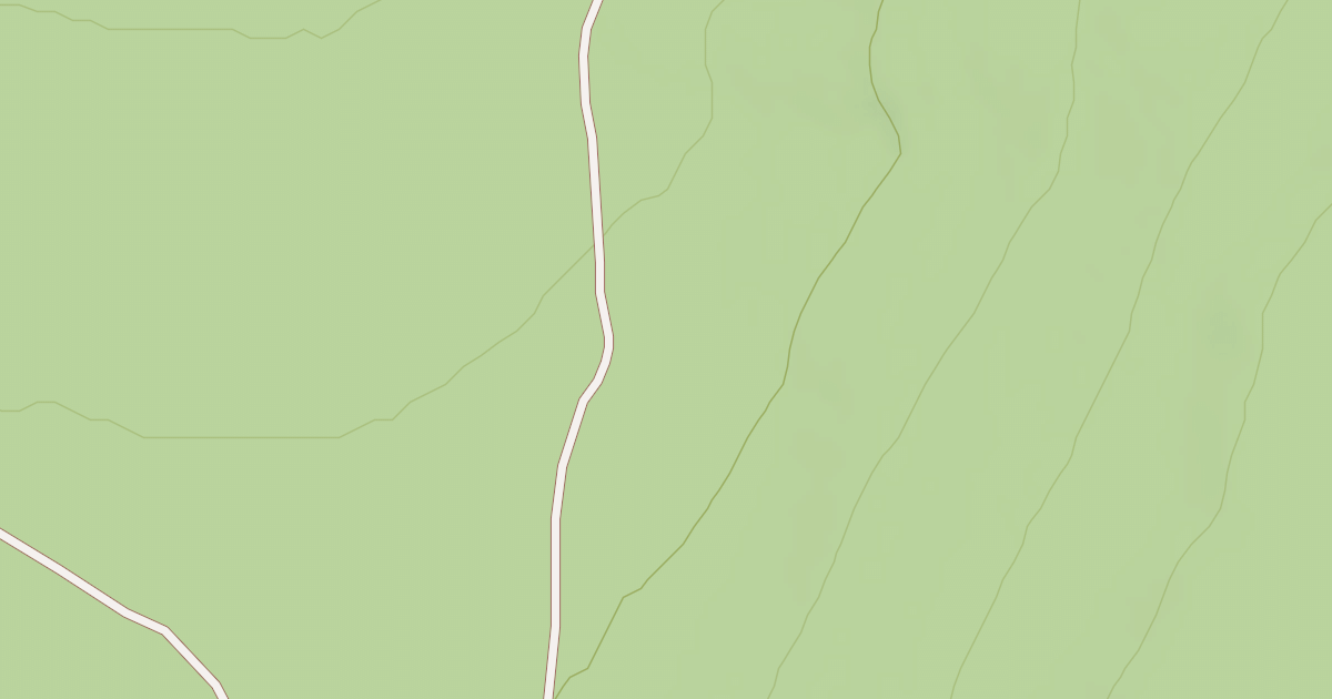 Map preview of BLM National GTLF Public Motorized Roads 42158c54-034d-4270-98a4-3b189d424353