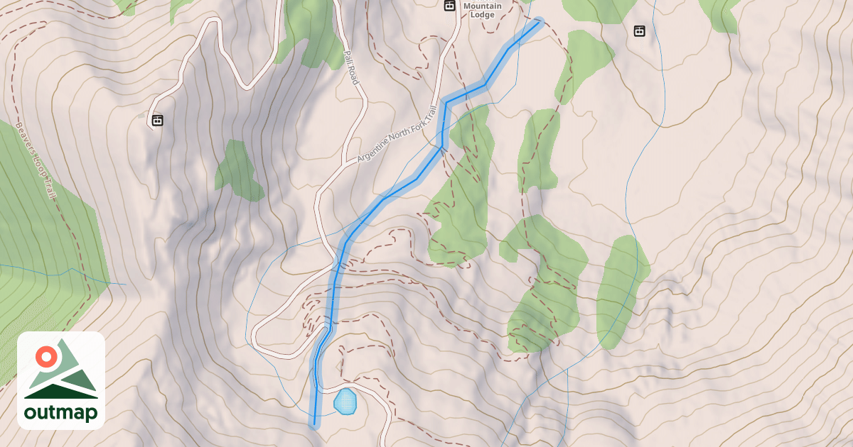 Map of Jamie's Face