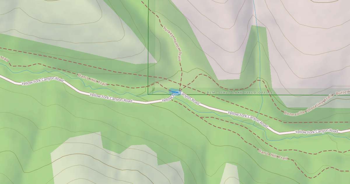 Map preview of Yellow Fork Trail