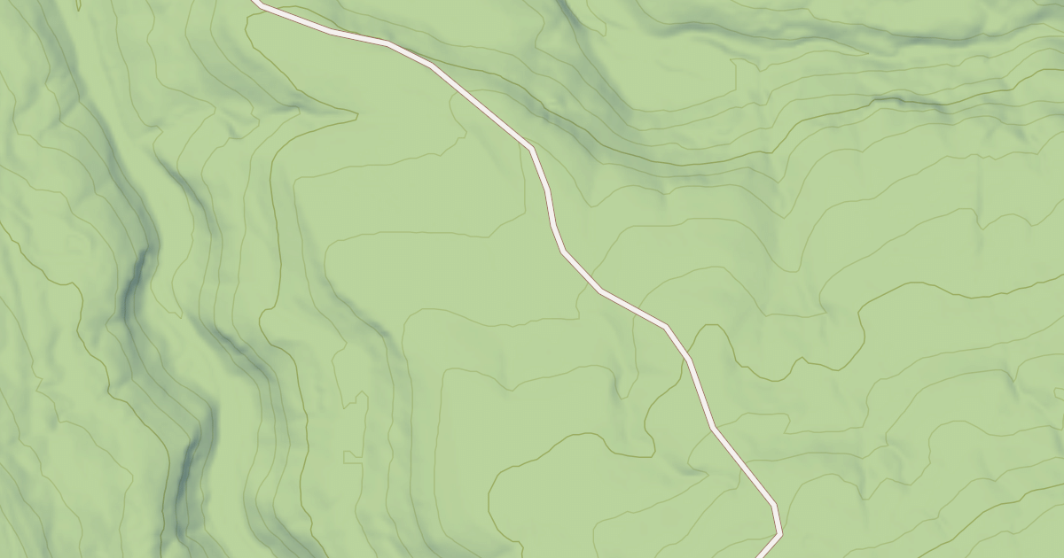 Map preview of USFS National Forest System Roads {9541F336-CF8B-48AD-8949-09C165B5B787}