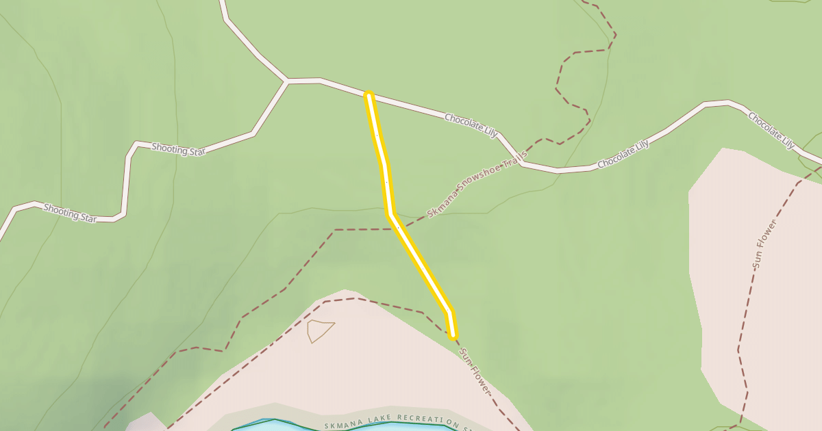 Map preview of Chocolate Lily