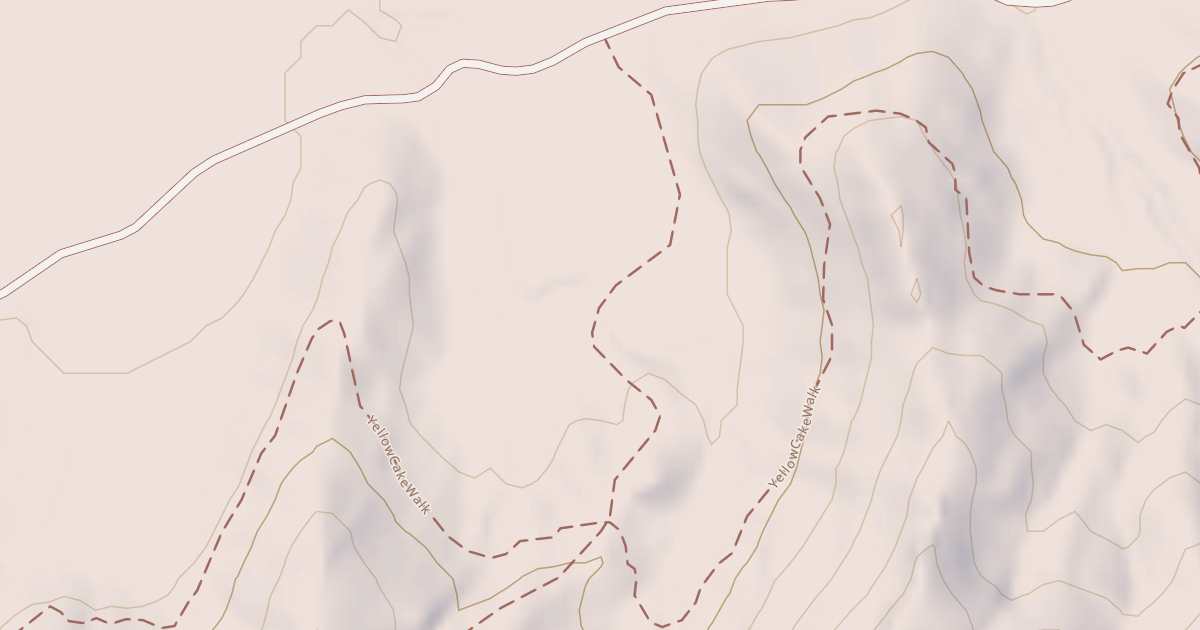Map preview of BLM National GTLF Public Motorized Roads 0f0f27f6-20ce-4f25-8fde-c92245cf1f3c