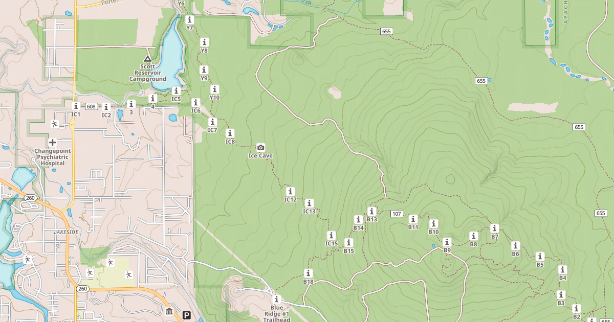 Map preview of USFS National Forest System Roads {B48131F3-F77C-4E4A-AD7F-FABB5BE8B45C}
